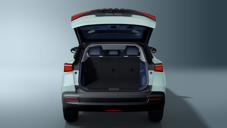 Trunk